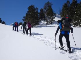 photo coins arrondis